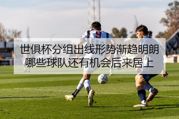 img_1780859103985_145_1_235.jpg